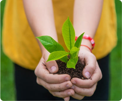 Nature Coffee – GrateFul Earth