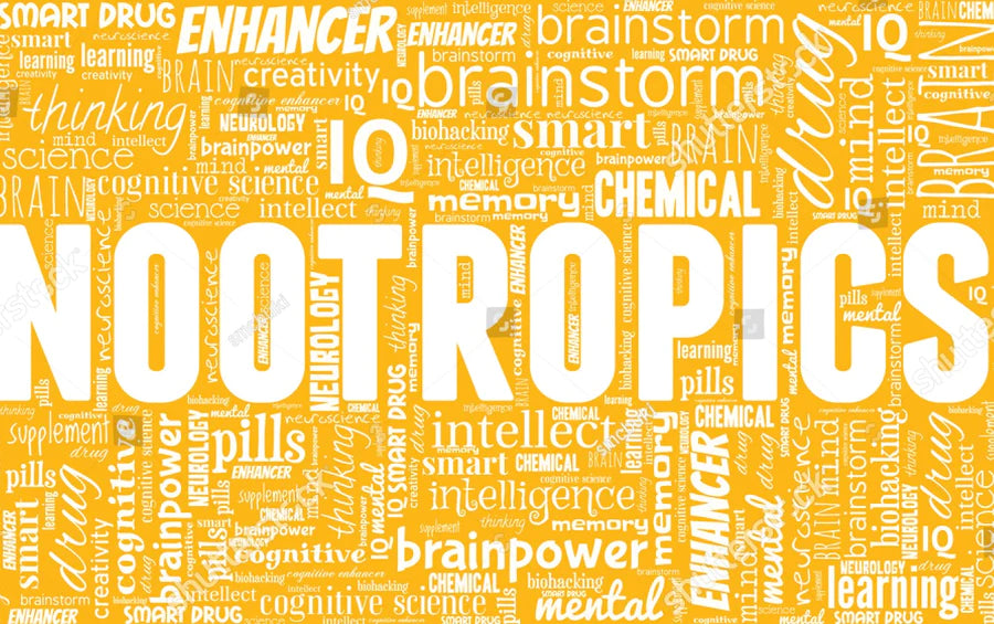 Getting Started With Nootropics