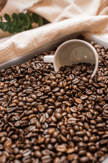 Is Mushroom Coffee Actually Good for You? Let's Brew the Facts!