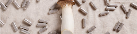 Top 10 Natural Nootropics to Improve Focus, Memory & Mood
