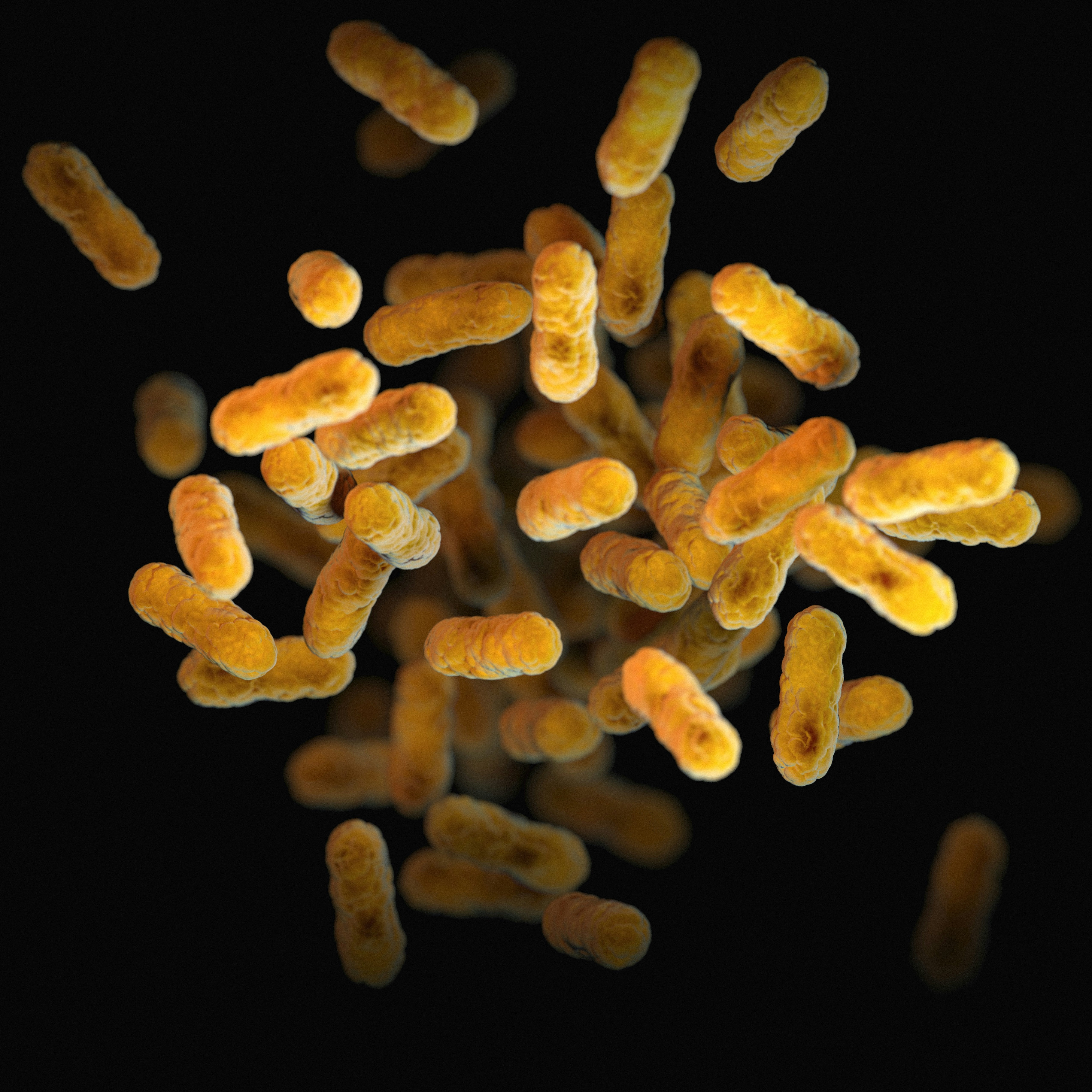 Postbiotics vs. Probiotics: Key Differences Explained
