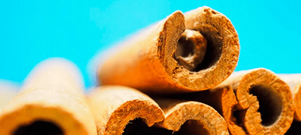 5 Ways Cinnamon May Help Support Brain Health