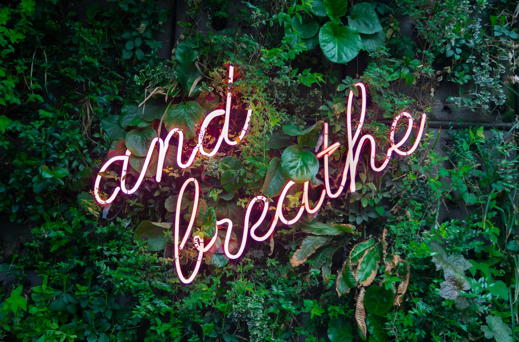 Harness the Power of Breath: A Beginner's Guide to Breathwork
